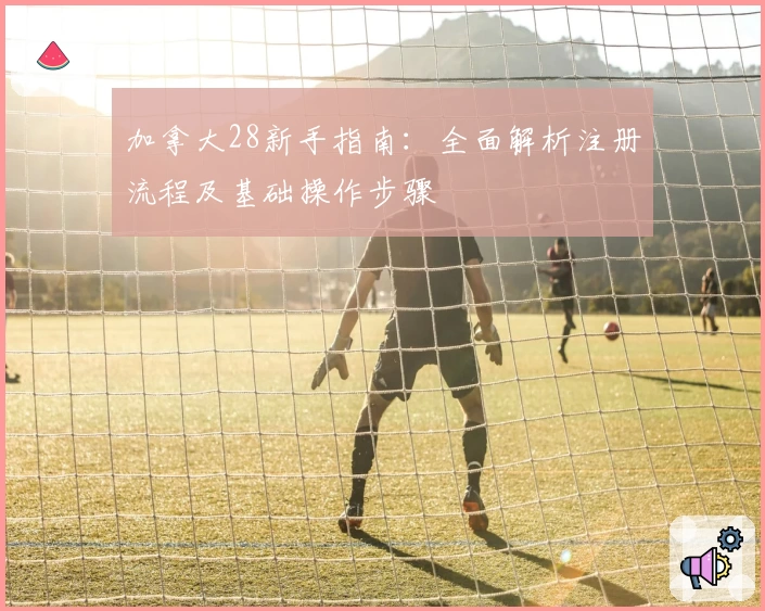 加拿大28新手指南：全面解析注册流程及基础操作步骤