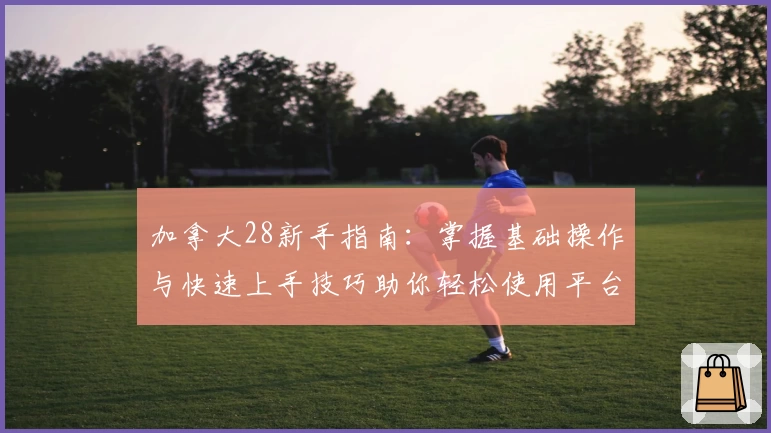 加拿大28新手指南：掌握基础操作与快速上手技巧助你轻松使用平台