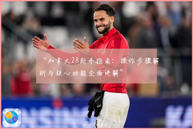 “加拿大28新手指南：操作步骤解析与核心功能全面讲解”