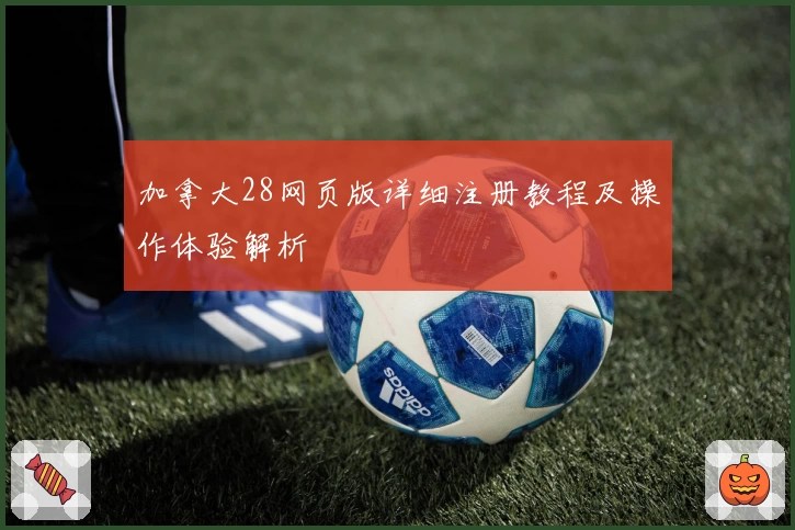 加拿大28网页版详细注册教程及操作体验解析