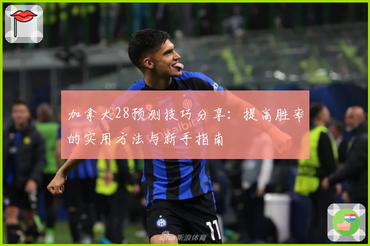 加拿大28预测技巧分享:提高胜率的实用方法与新手指南