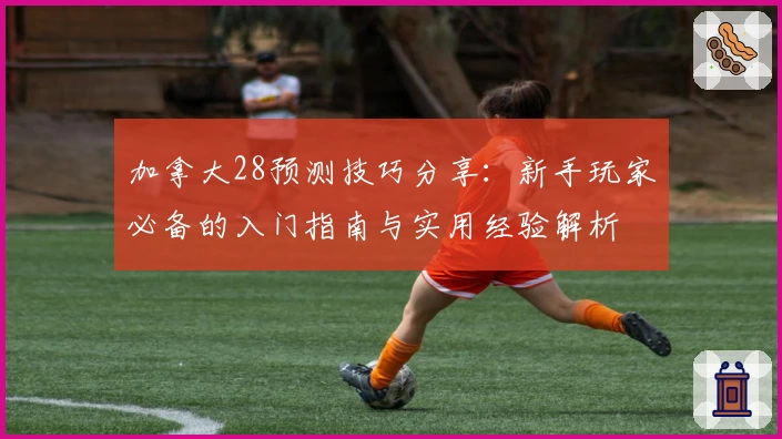 加拿大28预测技巧分享：新手玩家必备的入门指南与实用经验解析