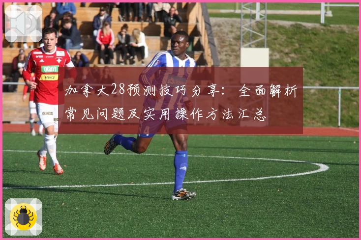加拿大28预测技巧分享：全面解析常见问题及实用操作方法汇总