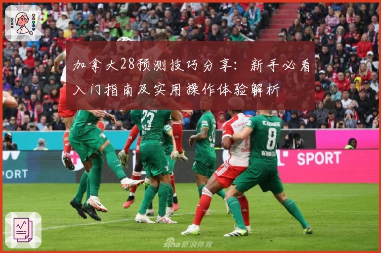 加拿大28预测技巧分享：新手必看入门指南及实用操作体验解析