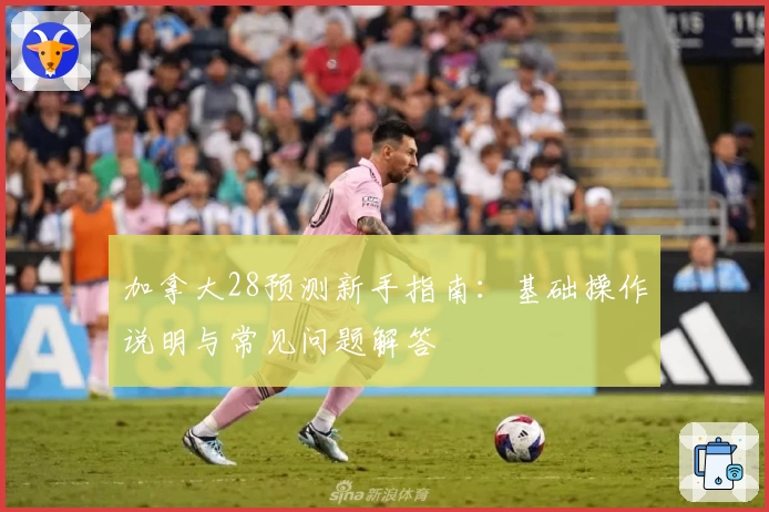 加拿大28预测新手指南：基础操作说明与常见问题解答