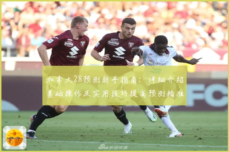 加拿大28预测新手指南：详细介绍基础操作及实用技巧提高预测精准度